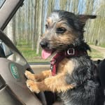 Sam Ware - @samware374 - Instagram