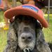 Sam Warlow - Facebook