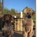 Samantha Warman - Facebook