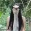 samwarman6 - @samwarman6 - TikTok