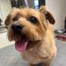 Derry Sam Walter - Facebook