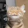 Sam (Taylor's version) - @sam.was.here13 - TikTok