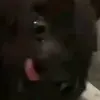 samwashere - @sam_is_there - TikTok