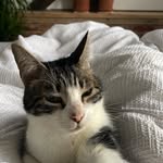 Sam Waterman - @samfwaterman - Instagram