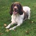 Sam Wathen - Facebook