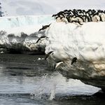 Samuel Wayland - @northpenguineop - Instagram