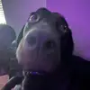 Sam - @samxweddle - TikTok