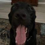 Sam Weddle - @weddle.sam - Instagram