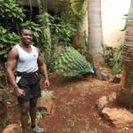 Sam Weider - @iamsamweider - Instagram