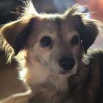 Sam Wein - @st3vie333 - Instagram