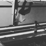 Sam Weinstein - @weinstein.flips - Instagram