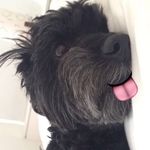 Samantha Weintraub - @srweintraub - Instagram
