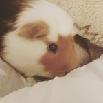sam wellborn - @s.wellborn - Instagram