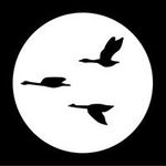 Sam Wenger - @threegeeseinflightbooks - Instagram