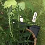 Sam Wetzel - @herbanrevolution - Instagram