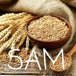 sam wheat - @samwheat10 - Instagram
