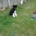 Sam Wheat - Facebook