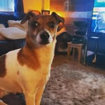 sam wheat - @its_sam_wheat - Instagram