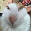Sam Wiley - @sonic.exerer - TikTok