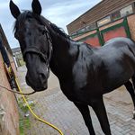 Sam Winter - @samwinter015 - Instagram
