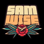 SAMWISE | Pop Punk Club - @samwiseoficial - Instagram