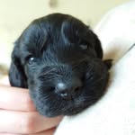Samwise Jet Gamjie - @samwisejet - Instagram