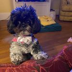 Sam Hart Wyrick - @sam112161 - Instagram