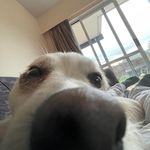 Sam Yates - @sam.yates13 - Instagram