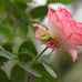 Sam Yu - Facebook