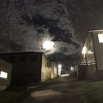 Sam Zuckerman - @szuck12 - Instagram