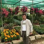 samah abed - @samahtarq10 - Instagram