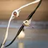 Samah Mohamed - @samahmohamed564 - TikTok