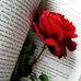 Samah mohamed - Facebook