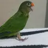 Samai Martinez - @samaimartinez115 - TikTok