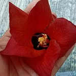 Samai Martinez - @samai8080 - Instagram