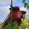 Samaimartinez - @samaimartinez5 - TikTok