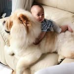 Saman Perera - @_sayuri_perera_ - Instagram