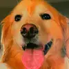 Samantha Adderley - @samanthaadderley523 - TikTok