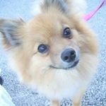 Samantha Bart - @sammie218 - Instagram