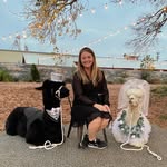 Samantha Been - @sambeendoes_weddings - Instagram