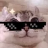 user170439581904 - @samantha.benoittt - TikTok