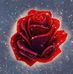 Samantha Bohn - Facebook