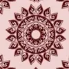 Samantha_Abbott - @samantha_abbott - TikTok