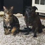 Samantha Bourget - @samifayb - Instagram
