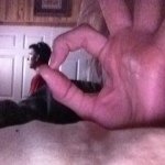 Samantha Burrows - @s_burr0ws_ - Instagram