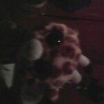 Samantha Chaplin - @pegasister5 - Instagram