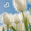 Samantha Del cid - @samantha.del.cid5 - TikTok