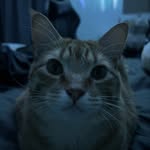 Samantha Cloud - @s.cloud1 - Instagram
