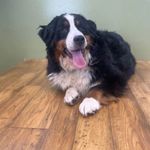 Samantha - @samantha_colby8 - Instagram
