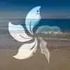 sam - @samanthacolosimo - TikTok